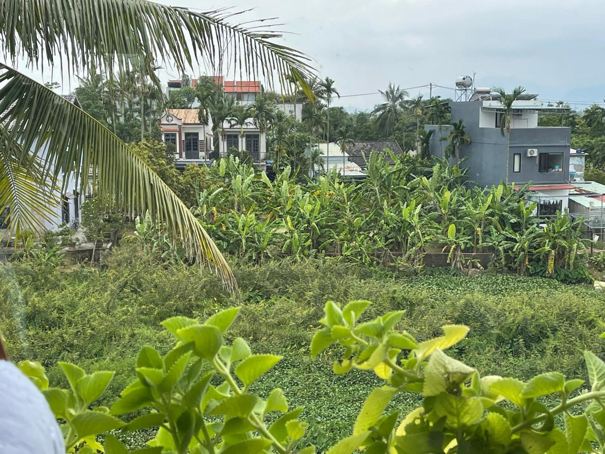 Hoi An Ti Hon House别墅 外观 照片